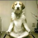 오향미엔 이미지