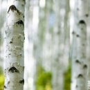 오늘은 힐링 이미지