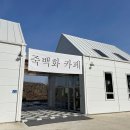 죽백화 이미지