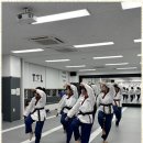 TL태권도 이미지