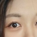 프로타주 이미지