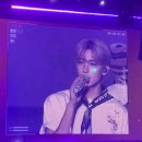 소 딜리셔스 | 현프의 더보이즈 콘서트 THE BLAZE 중콘 후기 ♡