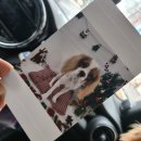 슈몽슈몽 이미지