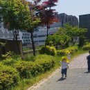 수반샘 이미지