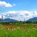 레옹여관 이미지