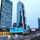 웰니스글로벌통상 네이버블로그