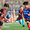 축구 이미지
