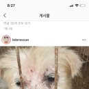 직전농장 이미지