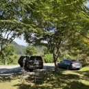 동산면사무소 이미지