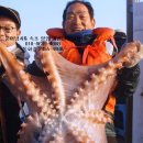 서진낚시 이미지