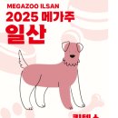 도그루아 이미지