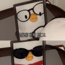 고실장쭈꾸미 | 2025 9월 일상. 인생은 어쩔어쩔.