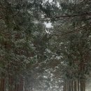 길인목장 이미지