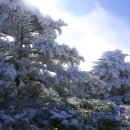 관음사입구 이미지