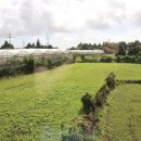 제주더썸플러스 풀빌라수산 이미지