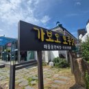 오짬뽕 | [가보오토종닭 속초] 전현무계획 출연 해물돌판짜장 가보오짬뽕 맛집 메뉴 웨이팅 가격 후기