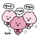 우리집상전 네이버블로그