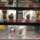 꼼스테이블 이미지