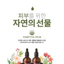 벤자롱스파 이미지