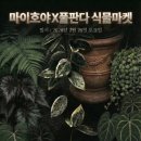 보나마켓