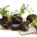 마카오래 이미지