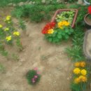 마실농장 이미지