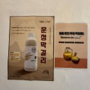 도담한옥 | 인사동 막걸리 맛집 인사도담 비건안주 가능한 분위기 좋은 한옥 술집 후기