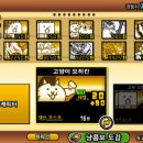 에쓰디 이미지