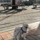 샵 세린파크 이미지