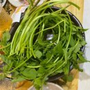 맛찬들왕소금구이 사상점 이미지