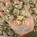 전칠삼(삼칠근) 진품 적정 복용량