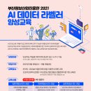 부산정보산업진흥원 2021 AI 데이터라벨러 양성교육(입문/기본/심화) 모집 이미지