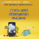 대한국제여행사 이미지