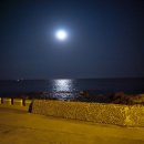 코지민박 이미지