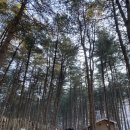 상천테마공원(주차장) 이미지