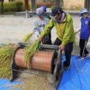 나래초교 이미지