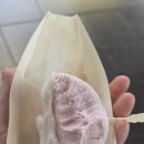 갤러리아백화점 앞 | 천안 갤러리아백화점 유키모찌 팝업 젤라또모찌 후기