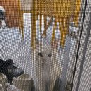 남해브릿지펜션 이미지