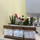 [인천검단 펀노리터] 내돈내산 솔직후기, 물감, 흙, 신체 놀이, 예약방법, 아이랑 가볼만한 곳