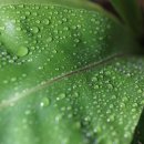 무영공인중개사사무소 이미지