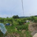 치상농장 이미지