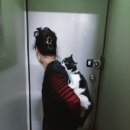 달콤여시 Daum카페