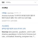 바쿠미 이미지