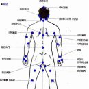 인체 급소 위치 이미지