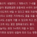 코튼캔디 이미지