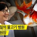 40세에 물고기 의사가 된 남자 🐡🐟🐠 이미지