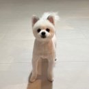 마이몽드 이미지