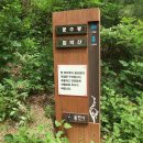 용인정신병원 이미지