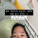 우산빛여울채 버섯마을 | 2025 4월 정산