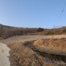 하늘농장5 이미지